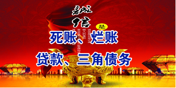 宝丰要债公司